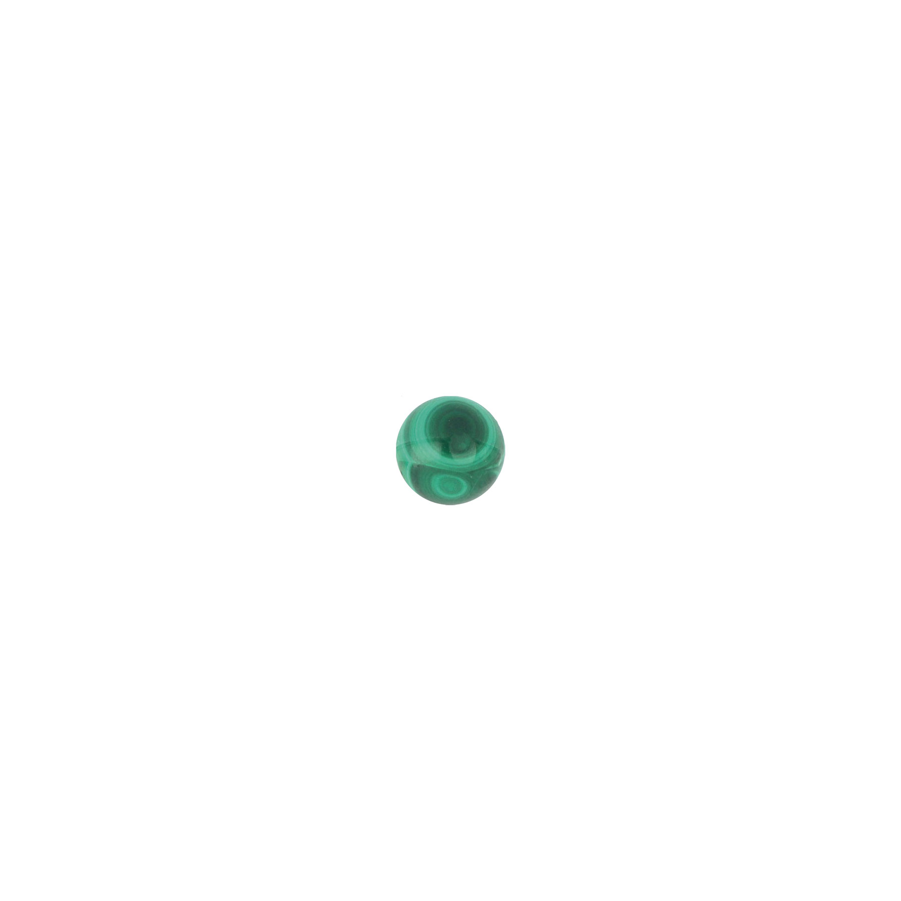 ORPNT4M