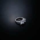 Chiara Ferragni - Anello princess - Thumbnail Image 3